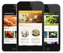 手機網(wǎng)站怎樣做才更有效果？如何做優(yōu)化？