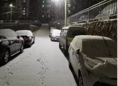 青島！大雪！大愛！