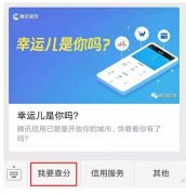 騰訊信用分全國(guó)公測(cè)，查了一下之后懵逼了。。