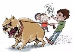 青島10月份一大波勁爆消息，你知道嗎？