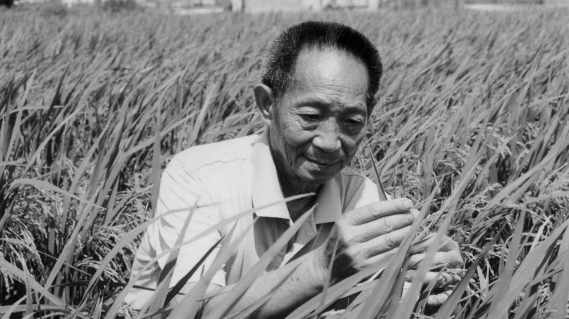 沉痛哀悼！袁隆平院士逝世